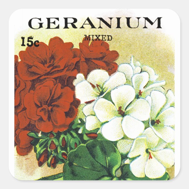 Adesivo Quadrado Rótulo de Pacote de Semente Geranium (Frente)