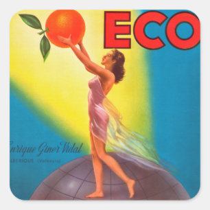 Adesivo Quadrado Rótulo Laranja Vintage Eco