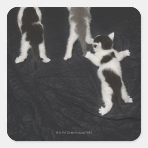 Adesivo Quadrado Rouco