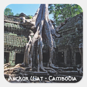 Adesivo Quadrado Ruína de Ta Prohm - Angkor Wat, Camboja, Ásia