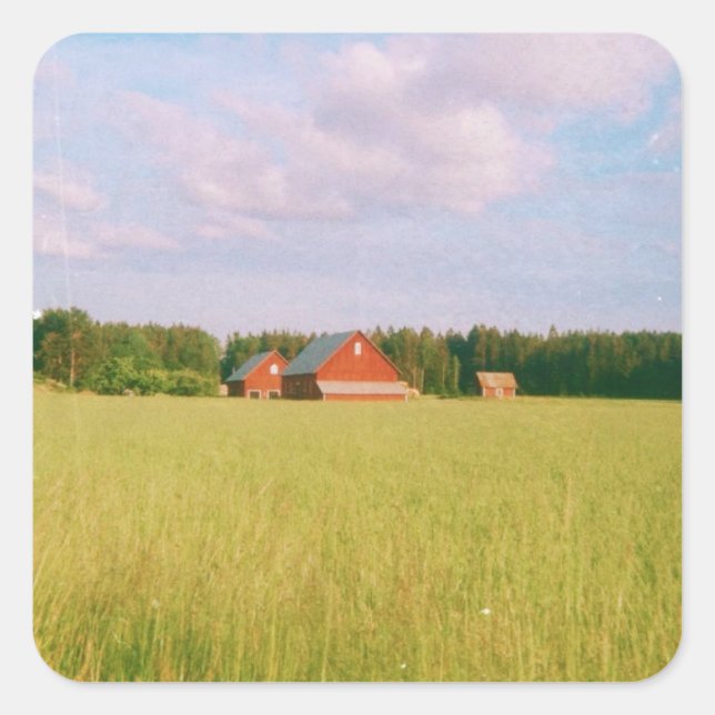 Adesivo Quadrado Rustic summer field, Helsingia, Sweden (Frente)