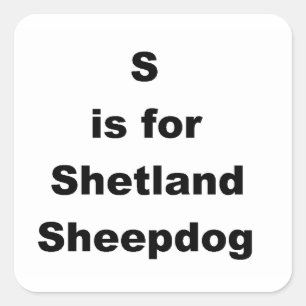 Adesivo Quadrado S É Para Shetland Sheepdog