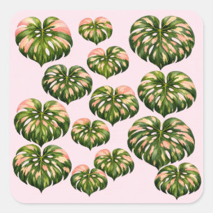 Adesivo Quadrado Saca de mão divertida de planta Monstera rosa botâ