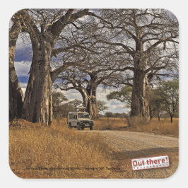 Adesivo Quadrado Safari