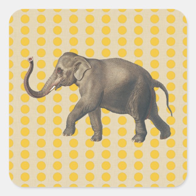 Adesivo Quadrado Saffron Spice Moods Dots com Elefante (Frente)