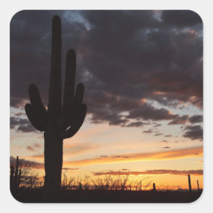 Adesivo Quadrado Saguaro Sunset III Arizona Desert Landscape