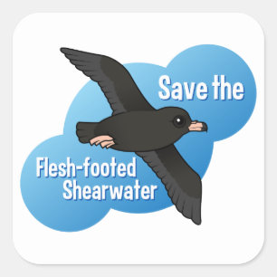 Adesivo Quadrado Salvar o Shearwater Carne-footed