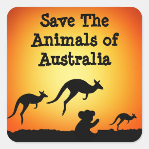 Adesivo Quadrado Salvar os animais da Austrália