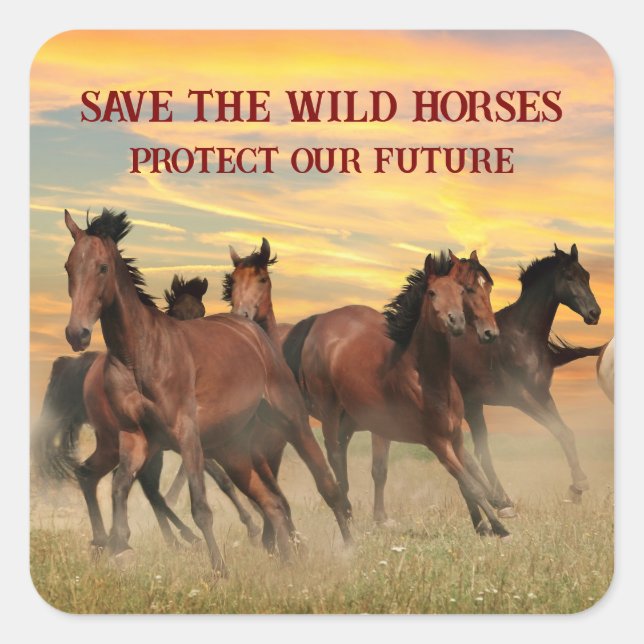 Adesivo Quadrado Salvar os cavalos selvagens (Frente)