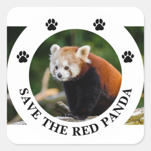 Adesivo Quadrado Salve a Vida Selvagem do Panda Vermelho