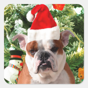 Adesivo Quadrado Santa Hat Bulldog Árvore de Natal Snowman Caixa de