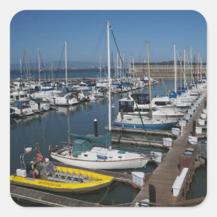 Adesivo Quadrado São Francisco - Saquetas