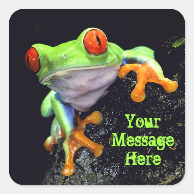 Adesivo Quadrado Sapo 3 Sticker (Frente)