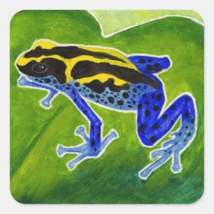 Adesivo Quadrado Sapo azul da floresta húmida