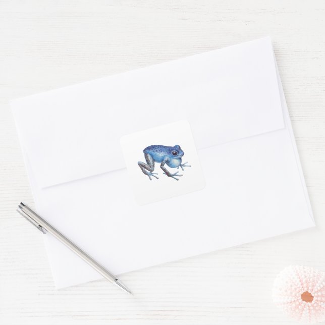 Adesivo Quadrado Sapo de dardo Venenoso de Morango (Envelope)