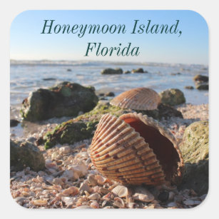 Adesivo Quadrado Sashell de praia da Ilha de Honeymoon