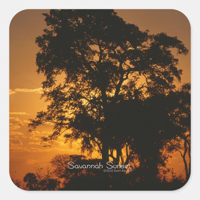 Adesivo Quadrado Savannah Sunset (Frente)