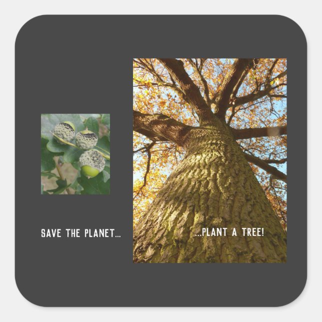 Adesivo Quadrado Save The Planet (Frente)