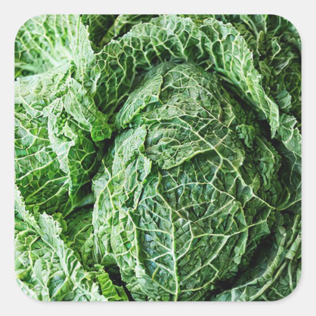 Adesivo Quadrado Savoy Cabbage (Frente)