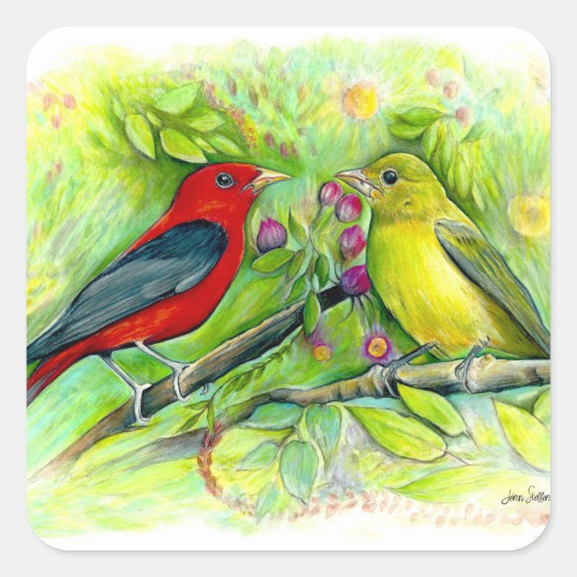 Adesivo Quadrado Scarlet Tanagers Bird Art (Frente)