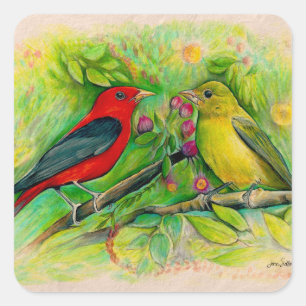 Adesivo Quadrado Scarlet Tanagers Bird Art