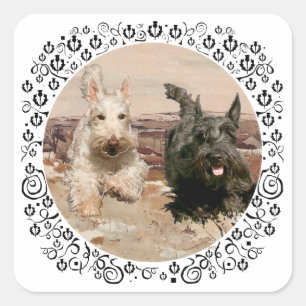 Adesivo Quadrado Scotties Trigo e Preto em Corrida