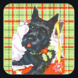 Adesivo Quadrado Scottish Terrier Scottie com xadrez verde<br><div class="desc">Scottish Terrier ou Scottie dog com xadrez verde em adesivos para envelopes ou embalagens.</div>