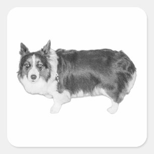 Adesivo Quadrado Scout de snack certificado