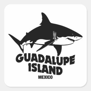 Adesivo Quadrado Scuba Mergulhando Com Tubarões Ilha Guadalupe