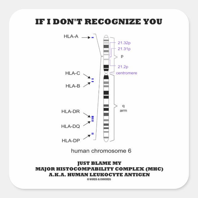 Adesivo Quadrado Se eu não o reconhecer, culpem a minha biologia MH (Frente)