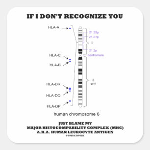 Adesivo Quadrado Se eu não o reconhecer, culpem a minha biologia MH