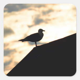 Adesivo Quadrado Sea Gull Sunset