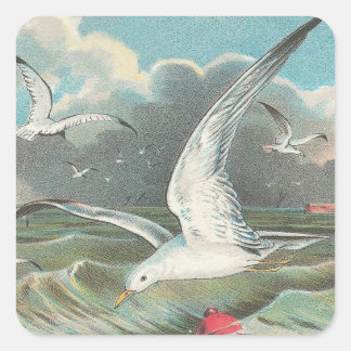 Adesivo Quadrado Seagull