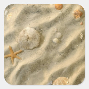 Adesivo Quadrado Seashells na areia