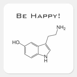 Adesivo Quadrado Seja feliz! Serotonin Sticker