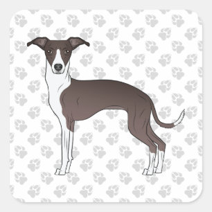 Adesivo Quadrado Selador e Italiano Greyhound Branco com Patas