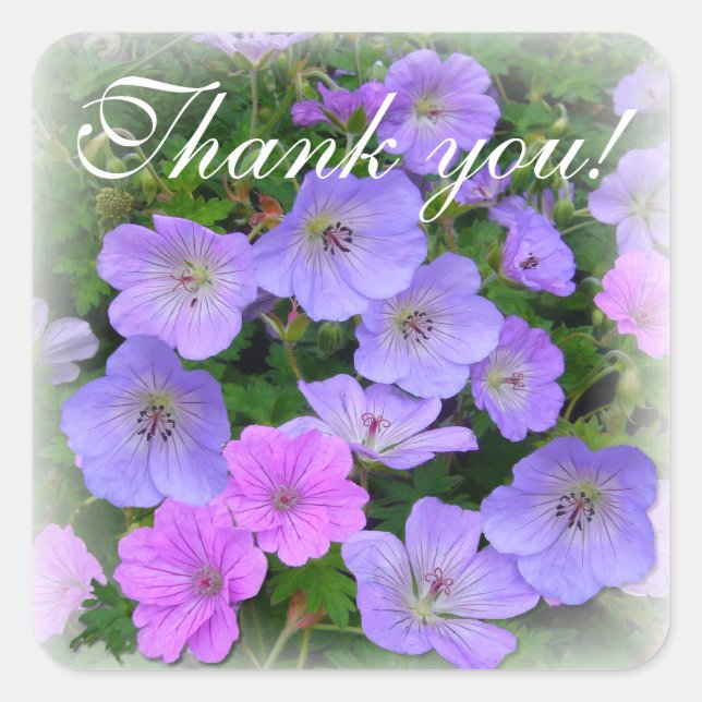 Adesivo Quadrado Seletor/Adesivo de Envelope Quadrado WILD GERANIUM (Frente)