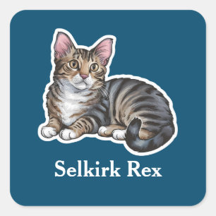 Adesivo Quadrado Selkirk Rex