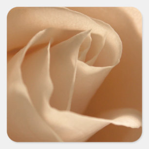 Adesivo Quadrado Selo de Envelope Rosa de Casamento de Creme Rústi