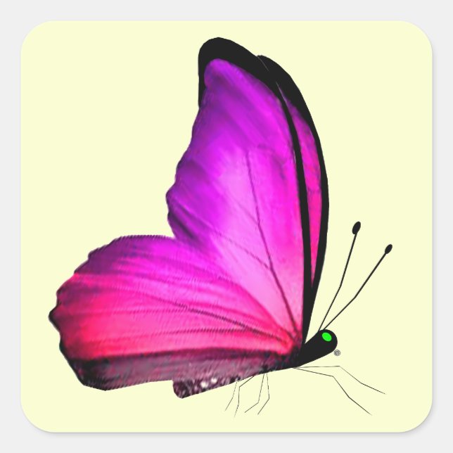 Adesivo Quadrado Selos De Envelope De Borboleta Rosa (Frente)