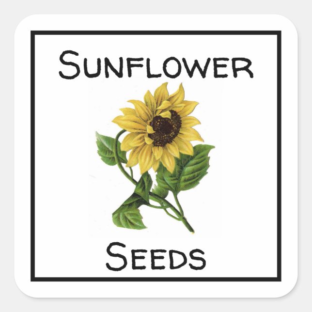Adesivo Quadrado Sementes De Girassol (Frente)