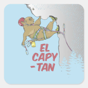 Adesivo Quadrado Sementes de girassol