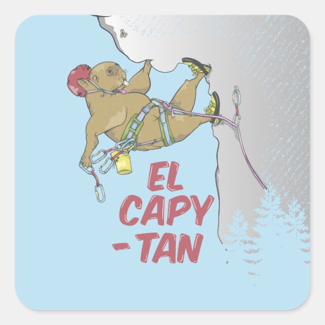 Adesivo Quadrado Sementes de girassol (Frente)