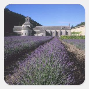 Adesivo Quadrado Senanque Abbey, Gordes, Vaucluse, Provença,