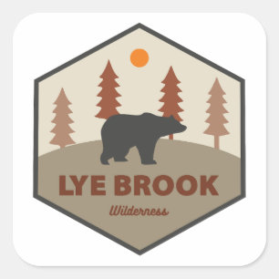 Adesivo Quadrado Serrania Lye Brook Vermont Urso