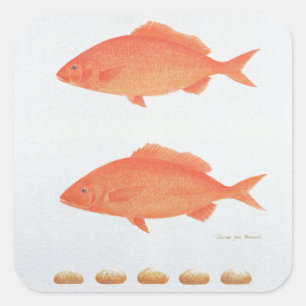 Adesivo Quadrado Serves Cinco Mil 2005