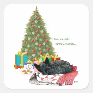 Adesivo Quadrado Sesta do Natal de Terrier do Scottish