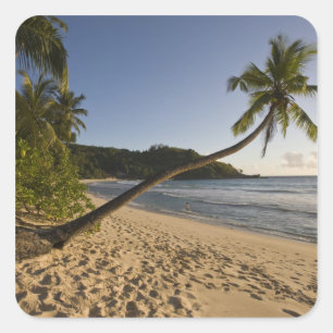 Adesivo Quadrado Seychelles, Ilha de Mahe, praia de Anse Takamaka,