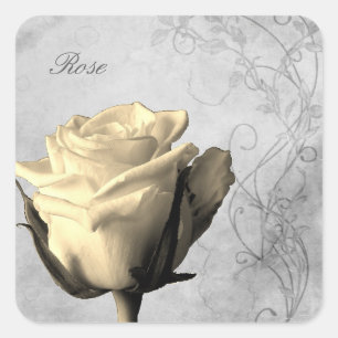 Adesivo Quadrado Shabby do Solteiro do estilo Vintage