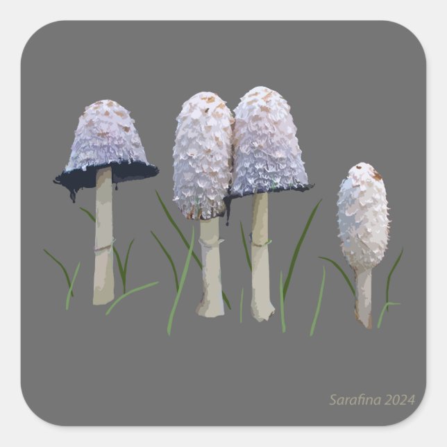 Adesivo Quadrado Shaggy Mane Coprinus comatus (Frente)